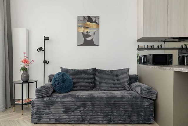 Sokolska 30A Katowice | Functional Apartment | Sauna | Gym | Parking