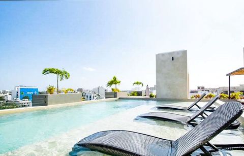 Mamitas Beach and 5th Avenue - Queen 1BR