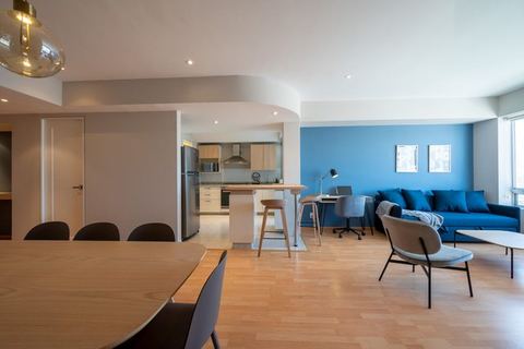 2BR/Studio Apartment1 — Ciudad de México, Mexico City