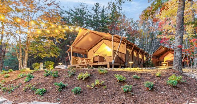 Rustic Bearadise Glampsite