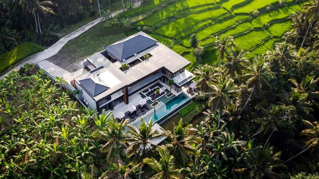 Villa Rice Home : 6 BR Pool w/ GYM and Jungle View