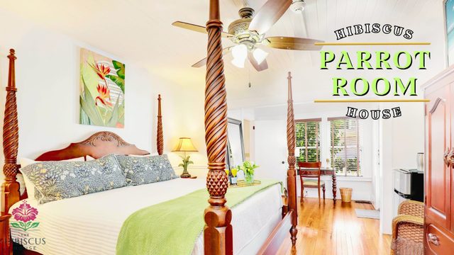 Hibiscus House Bed & Breakfast Inn Parrot Room