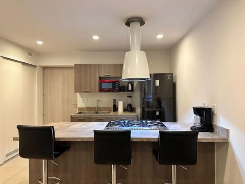 Van Gogh - Amazing 1 BR Apt in New Polanco