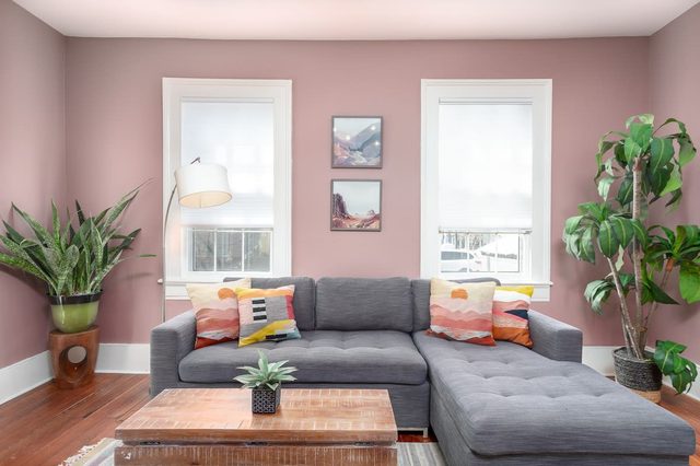Porch & Palmetto | 2 Flats + Patio + Free Parking