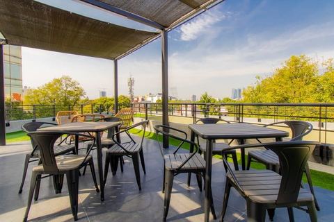 Capitalia | Chic Loft | Rooftop Garden Inspiration — Ciudad de México, Mexico City