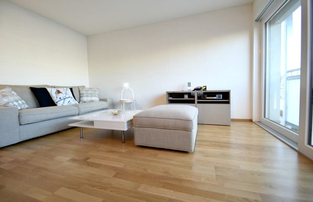 Bright 2BR Zug Apartment | Near Zurich & Lake