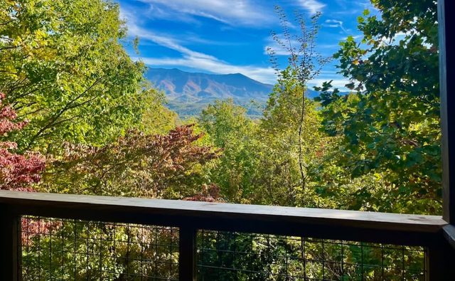 Gorgeous Mt. LeConte Views/Gatlinburg/Spacious
