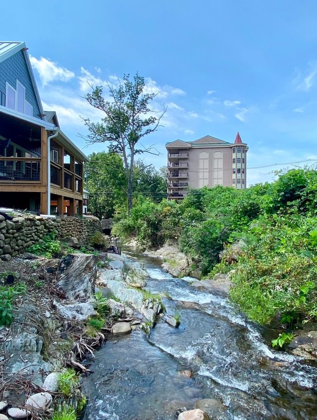 Rushing Water/Hot Tub/Walk 2 Downtown Gatlinburg