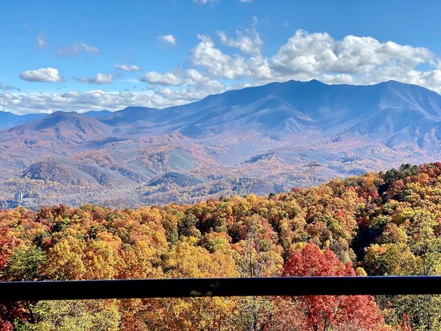 Sweeping Views Of GSMNP/Indoor Pool & Hot Tub