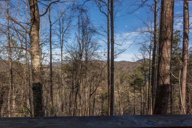 Gorgeous Mountain Views/Hot Tub