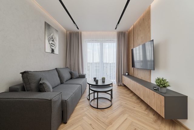 Edmunda Kajdasza 10A Apartment | Air conditioning