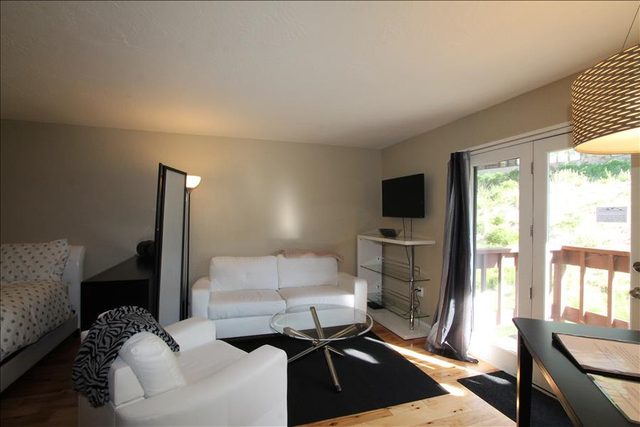 Skyland Lodge, Super cute studio, hot tub