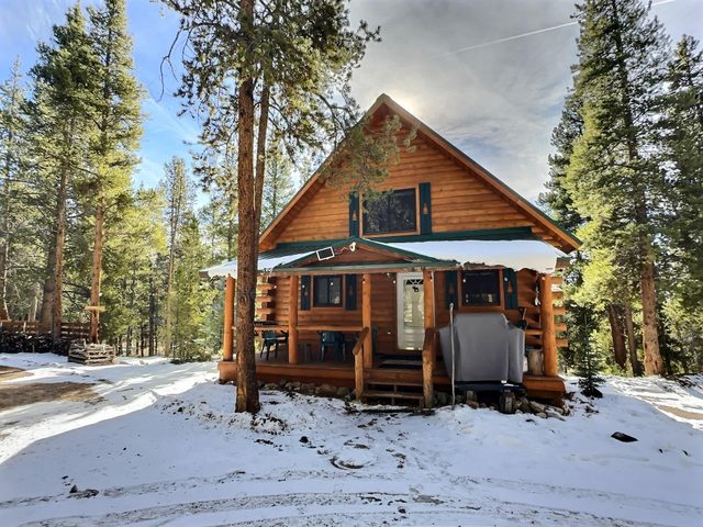 Mountain Log Cabin on 6 Acres — Leadville — Leadville, CO