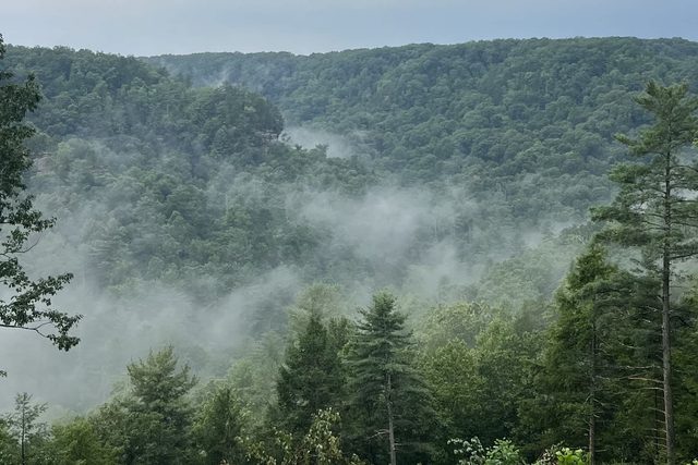 Honeydew Cabin - Romantic, Sauna, Views, Hot Tub