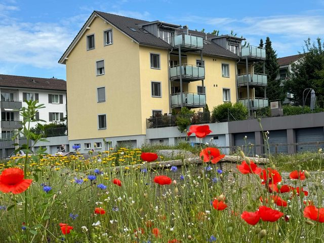 Luxury Sunrise Terrace, 4.5 Rooms (FR-22)