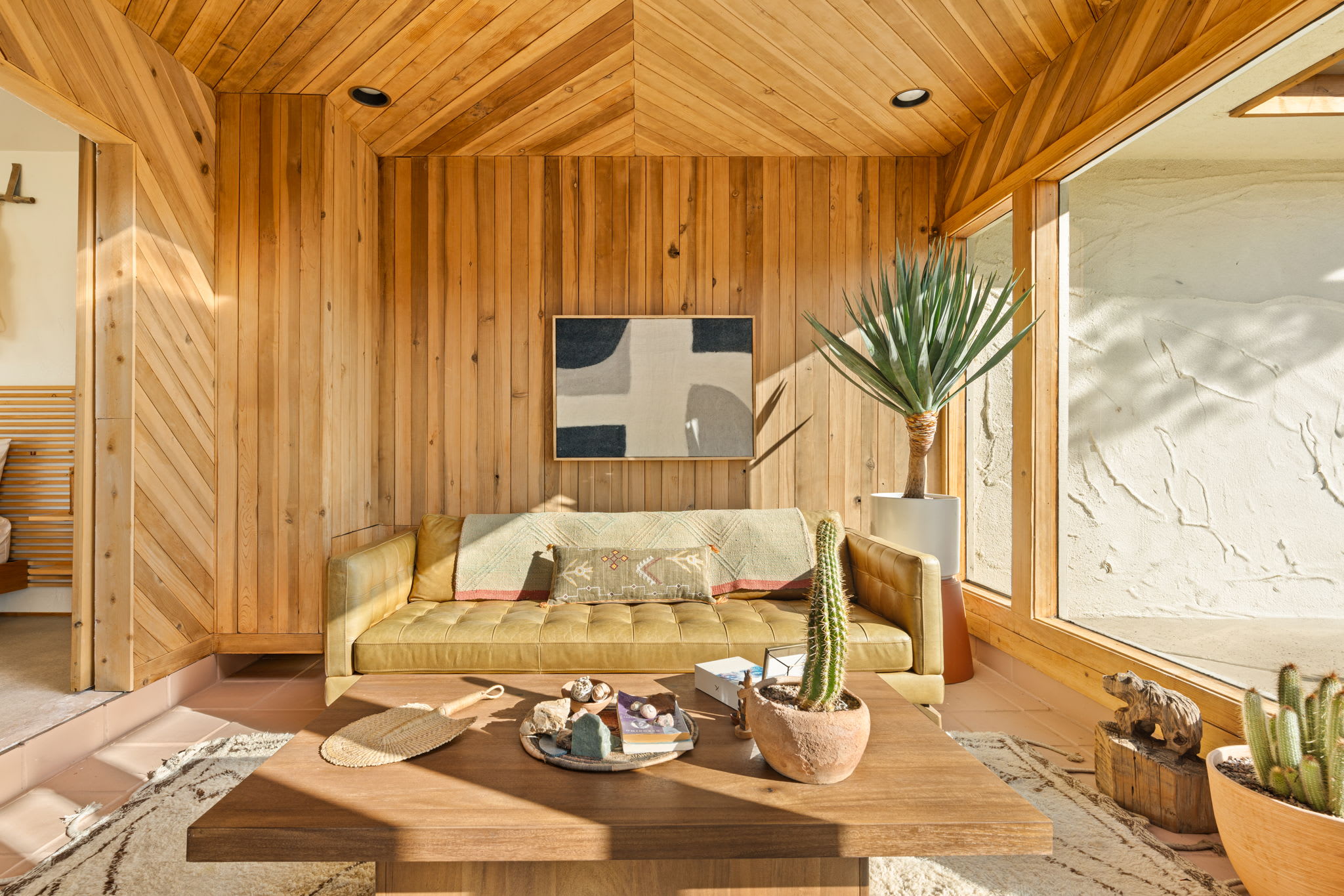 Ocotillo Sol By Homestead Modern