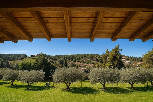 Sani Olive Grove Gem - The Ultimate Sunny Getaway