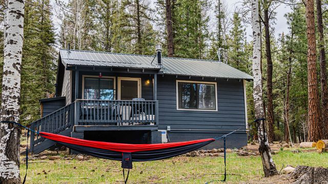Cowgirl Cabin (Aspen 3) — Greer, AZ