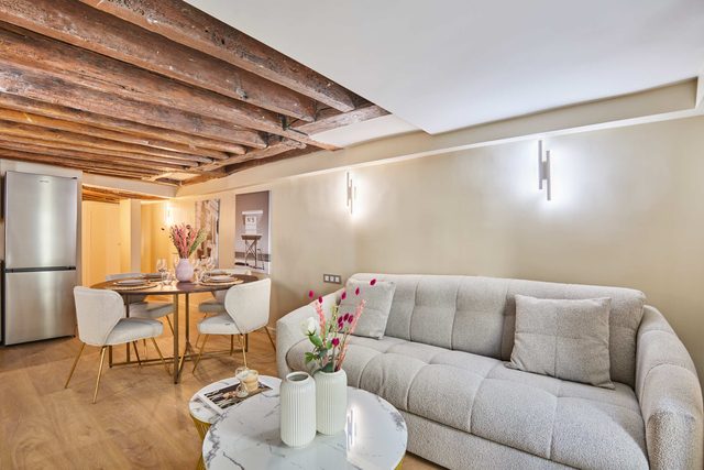 Charming renovated apartment in Center of Paris