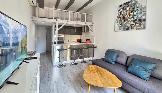 LX154 Loft renove, lumineux - plein centre Cannes