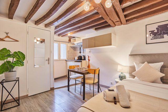 Elegant Studio Center of Paris