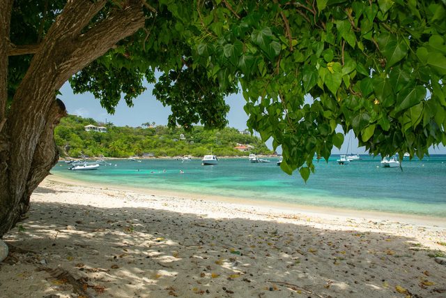 Nautilus- Beach Front with 3 King Suites — Cruz Bay, VI