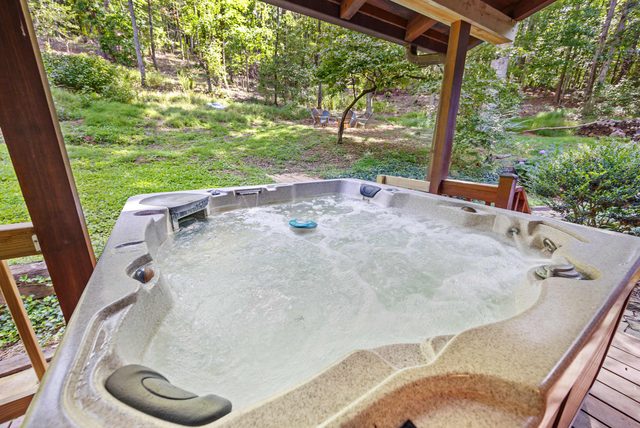 Ellijay Family Retreat - The Lodge