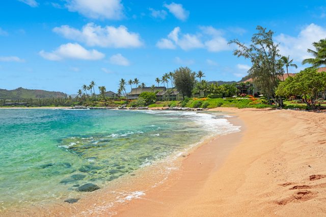 Beachfront Ocean View Oasis w/Saltwater Pool