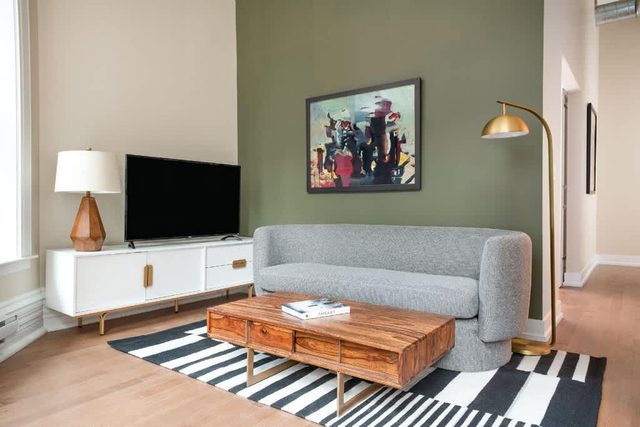 LIVN Millennium Park Downtown Chicago Superior 1BR — Chicago, IL