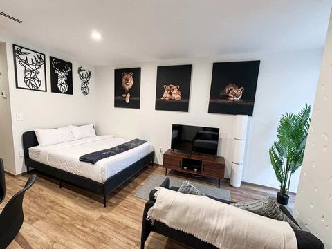 Cozy Furnished Studio in Mexico City — Mexico City, Mexico City