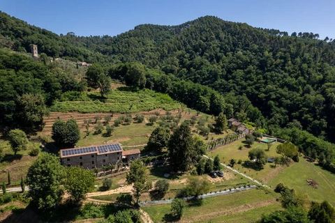 Il Giardino - Private pool, garden and EVCharger — Pescaglia, Tuscany