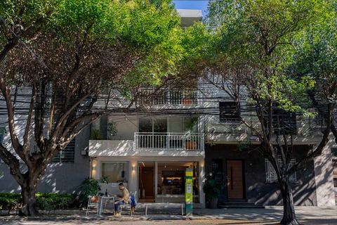 Casa Hugo | Sunlit Studio in Anzures