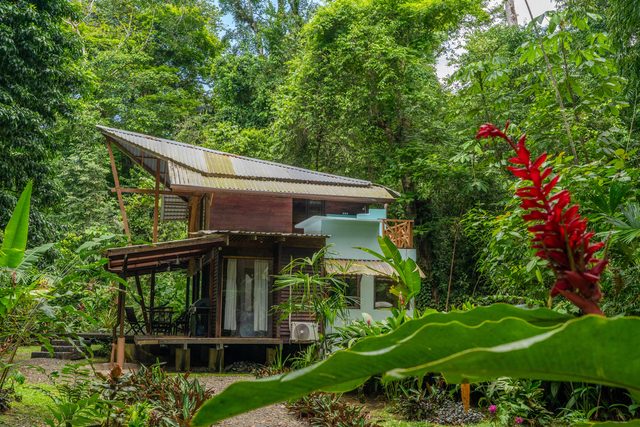 Casa Auratus: Jungle Paradise Near Gandoca Refuge — Manzanillo, Limón Province