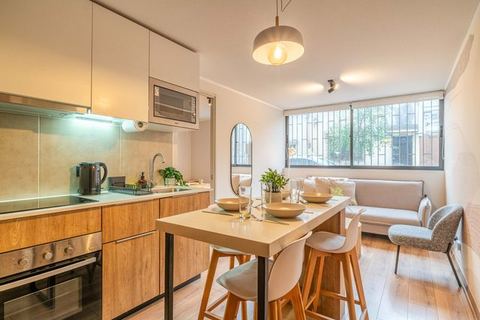 HOM 2-bed, laundry · Santiago Centro