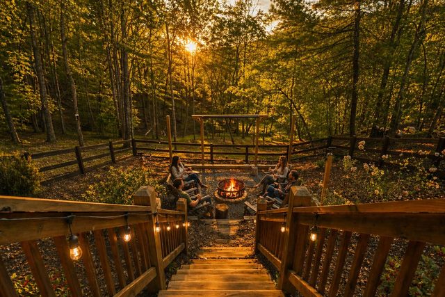 Cozy Bear Cabin
