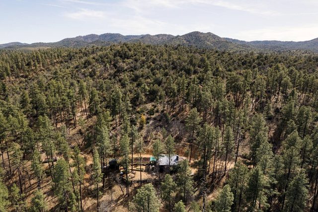 Gold Digger — Prescott, AZ