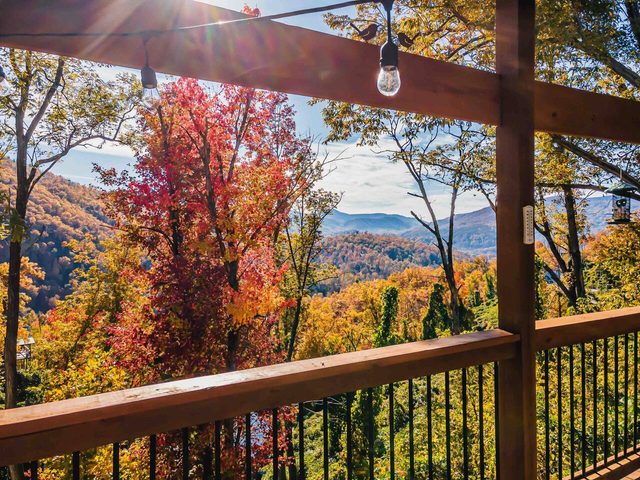 1.3 Miles To Gatlinb! VIEWS | Freq Bear Sightings!
