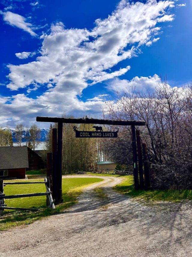 Cool Hand Luke's — Island Park, ID