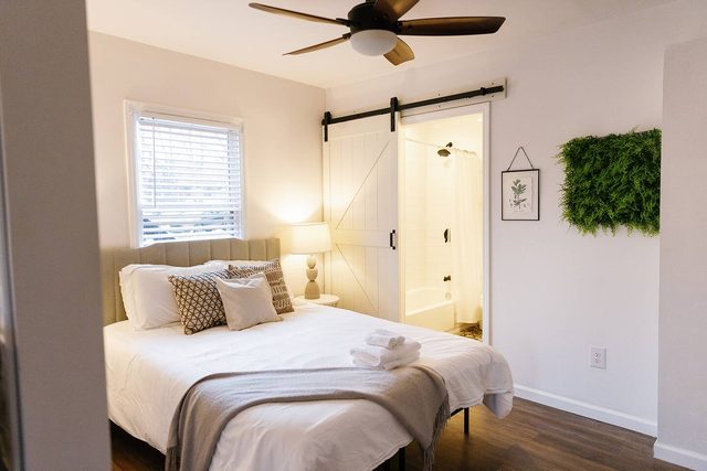 Green Oasis| Apartment in Downtown Lexington| 1BD