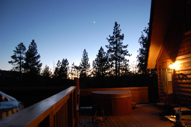 Milo Bear Cabin