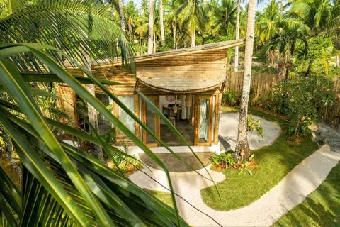 The Bamboo House