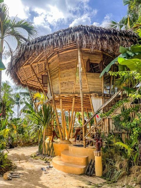 Bamboo Moon