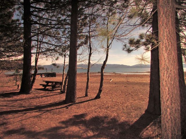 Lake Forest Glen #220