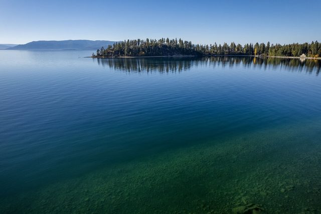 Flathead Valley - BF - Many Springs 612