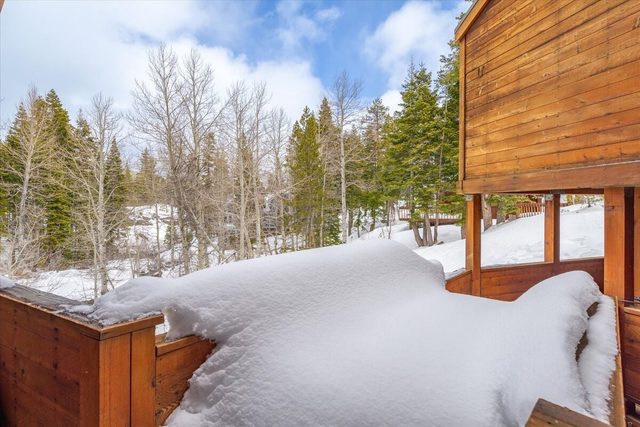 Alpine Springs Eternal — Alpine Meadows, CA