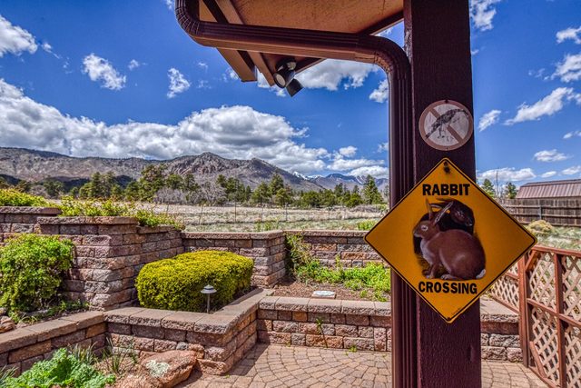 BunnyLand Lodge