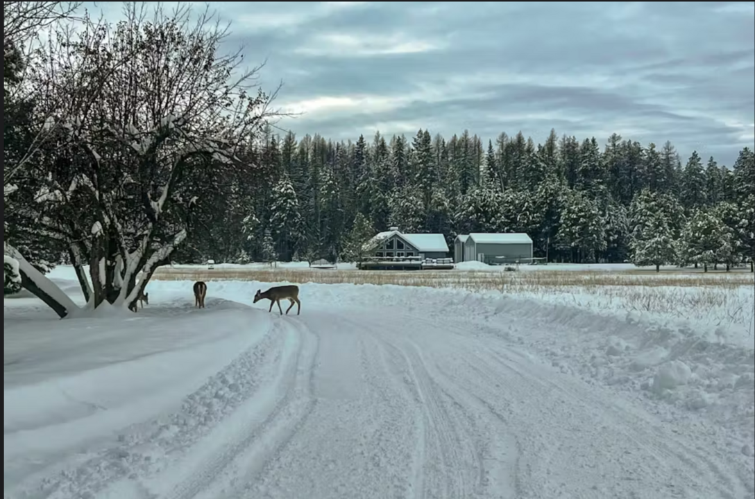 Flathead Valley - WF - Whitefish Montana Dreamin