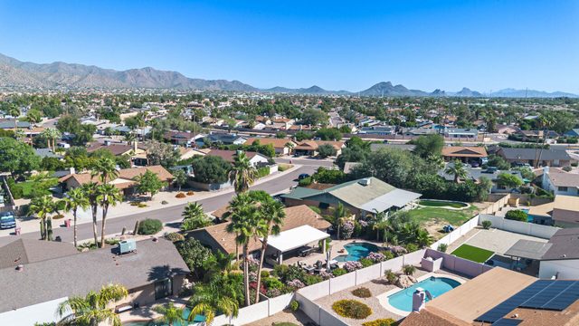 Scottsdale Sahuaro Oasis
