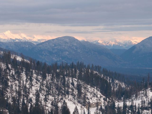 Flathead Valley - WF - 372 Moose Run