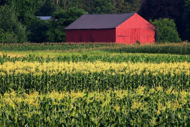 Amherst, Perfect Location, UMass, Smith, MHC! — Hadley, MA